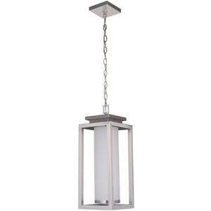 Vailridge LED 9 inch Stainless Steel Outdoor Pendant, Large