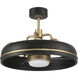 Taylor 20 inch Flat Black/Satin Brass with Clear Acrylic Blades Ceiling Fan (Blades Included) in Flat Black and Satin Brass