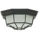 Bulkheads 1 Light 9 inch Textured Black Outdoor Flushmount in Textured Matte Black, Small