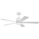 McCoy 52.00 inch Indoor Ceiling Fan