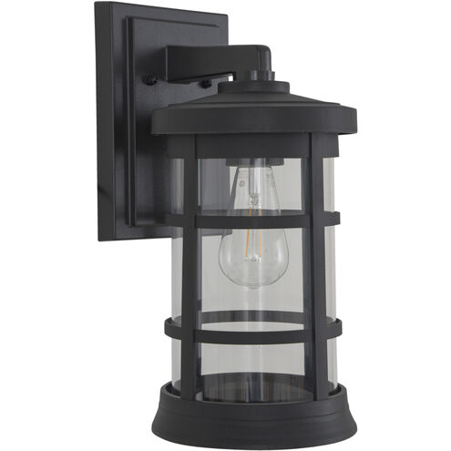 Resilience 1 Light 7.13 inch Textured Black Outdoor Lantern in Clear Glass, Large