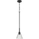 Pleated 1 Light 7.13 inch Flat Black Mini Pendant Ceiling Light