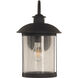 O'Fallon 1 Light 13 inch Dark Bronze Gilded Outdoor Wall Mount