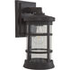Resilience 1 Light 7.13 inch Bronze Outdoor Lantern in Clear Glass, Large