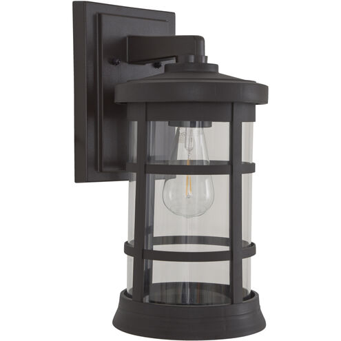 Resilience 1 Light 7.13 inch Bronze Outdoor Lantern in Clear Glass, Large
