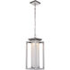 Vailridge LED 9 inch Stainless Steel Outdoor Pendant, Large