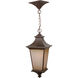 Argent 1 Light 10 inch Aged Bronze Textured Outdoor Pendant, Large
