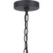 Olsen 1 Light 8 inch Midnight Outdoor Pendant