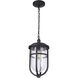 Voyage 1 Light 9.5 inch Midnight Outdoor Pendant