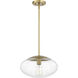Gaze 1 Light 14.00 inch Pendant