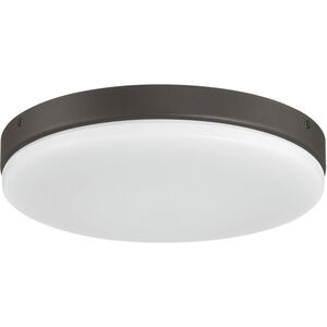 Mondo LED Espresso Light Kit