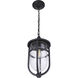Voyage 1 Light 9.5 inch Midnight Outdoor Pendant