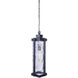 Pyrmont 1 Light 8 inch Oiled Bronze Gilded Outdoor Pendant, Large