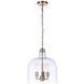 Jackson 3 Light 13.63 inch Pendant