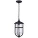 Voyage 1 Light 9.5 inch Midnight Outdoor Pendant