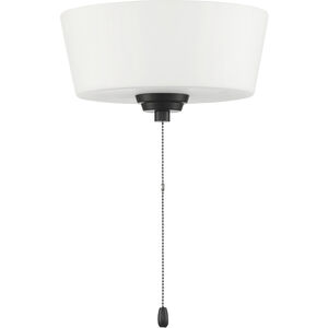 Outdoor Bowl LED Flat Black Fan Light Kit