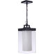 Hayner 1 Light 9 inch Midnight Outdoor Pendant