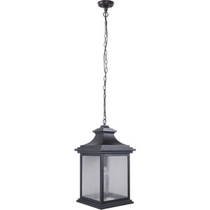 Gentry 1 Light 12 inch Midnight Outdoor Pendant, Large
