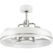 Taylor 20.00 inch Indoor Ceiling Fan