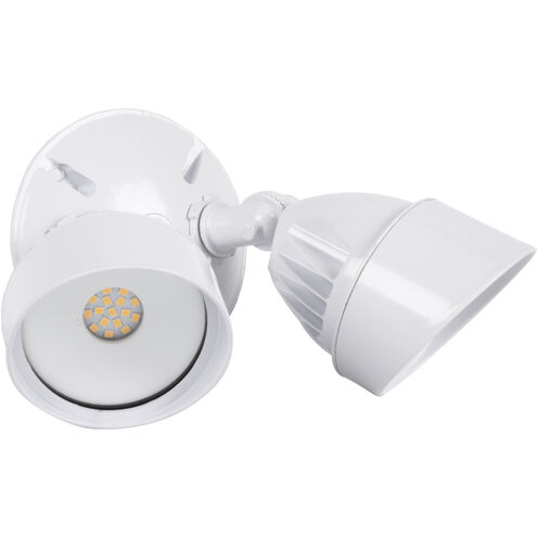 Bejamin LED White Outdoor Flood