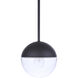 Evie 1 Light 7.5 inch Midnight Outdoor Pendant