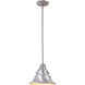 Union 1 Light 8 inch Satin Aluminum Outdoor Pendant, Small