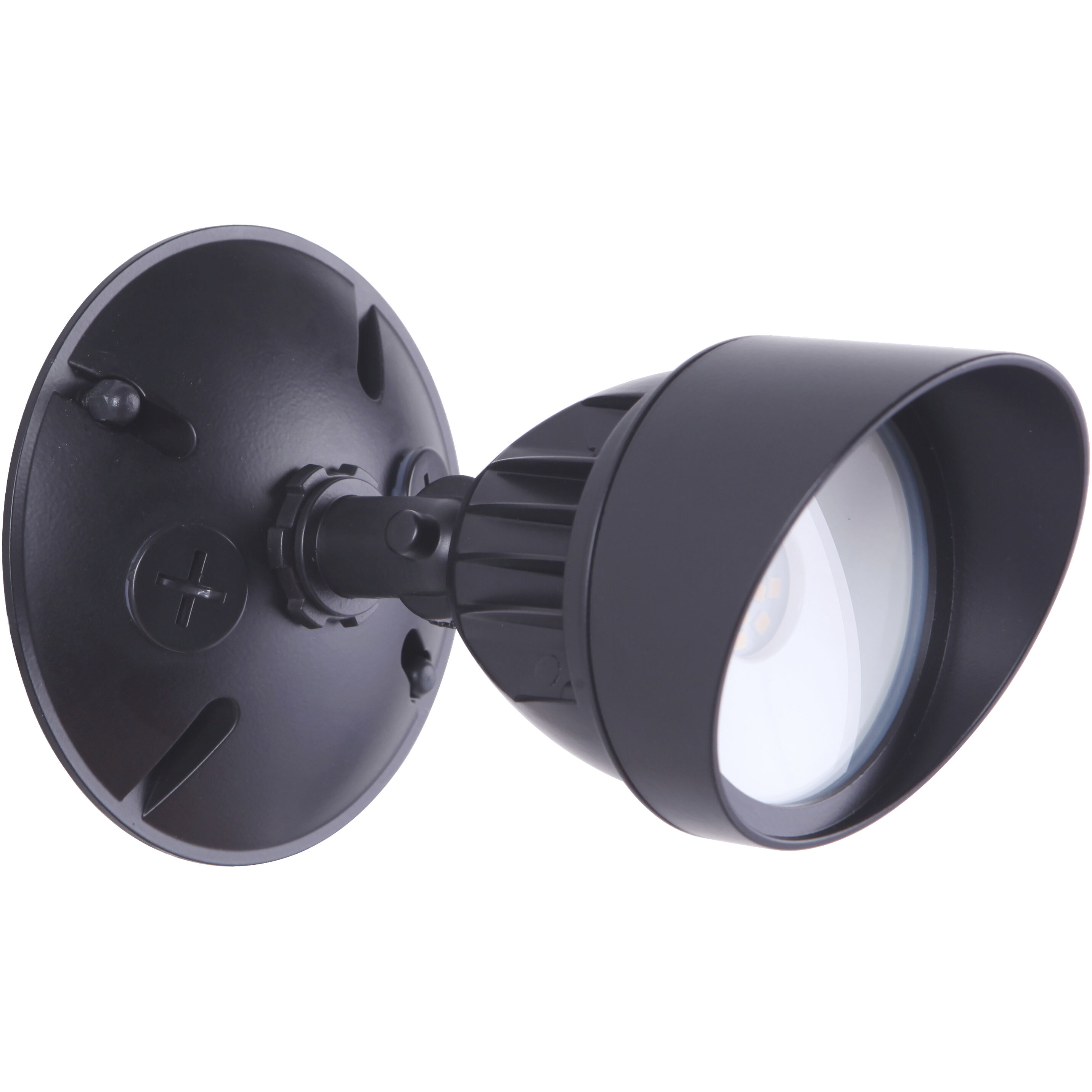 Bejamin LED Bronze Outdoor Flood