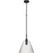 Pleated 1 Light 14 inch Flat Black Pendant Ceiling Light