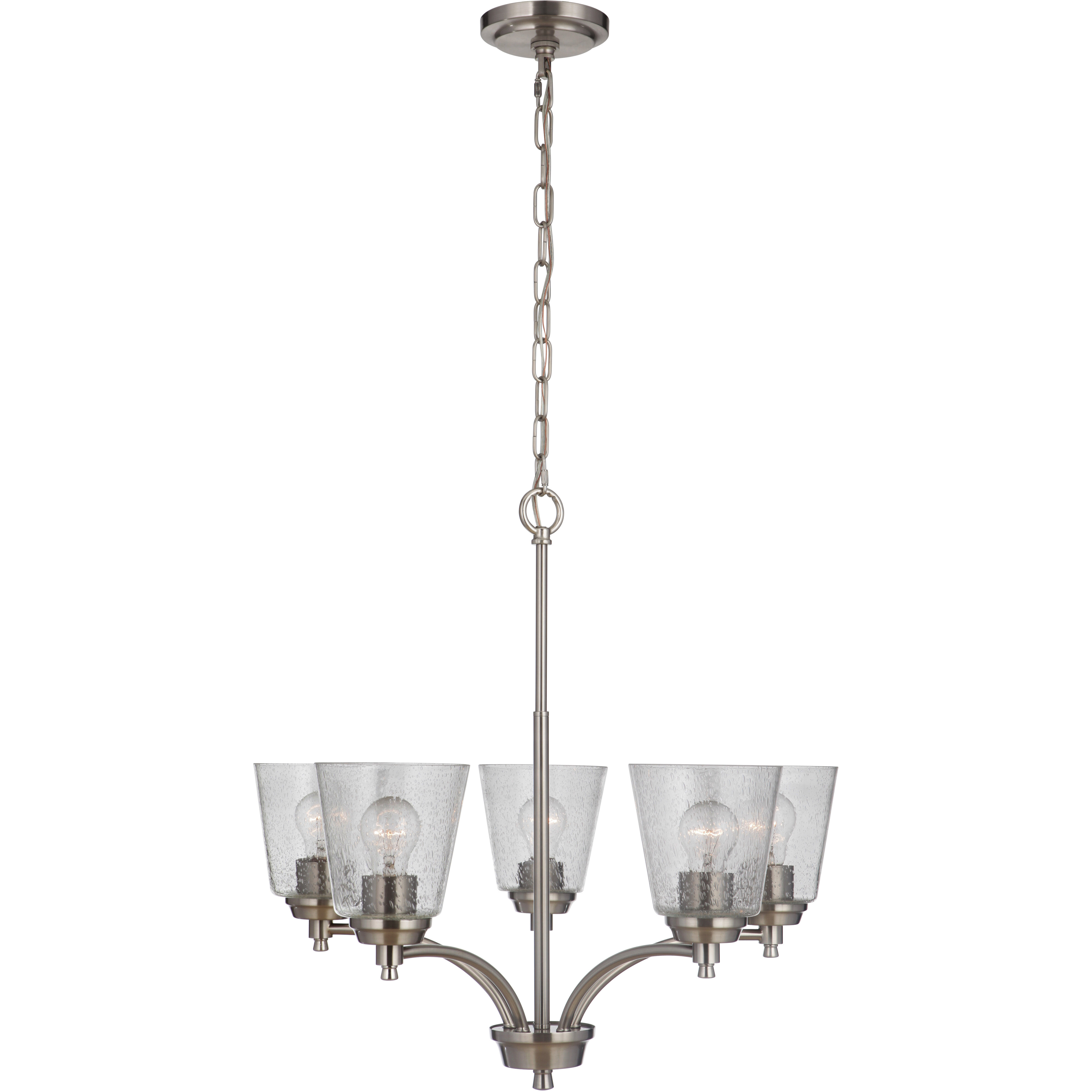 Neighborhood Tyler 5 Light 25 inch Brushed Polished Nickel Chandelier Ceiling Light in Clear Seeded, Neighborhood Collection