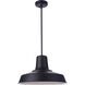 Briscoe 1 Light 17.91 inch Midnight Outdoor Pendant