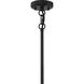 Crosspoint 8 Light 30.25 inch Espresso Outdoor Chandelier