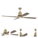 Ricasso 60 inch Satin Brass with Driftwood Blades Ceiling Fan