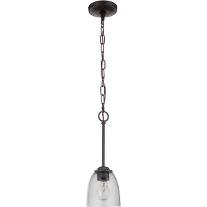 Neighborhood Serene 1 Light 6 inch Espresso Mini Pendant Ceiling Light in Clear Seeded, Neighborhood Collection