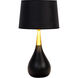 Bejamin 26.5 inch 100 watt Flat Black and Satin Brass Table Lamp Portable Light