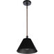 Blake 1 Light 11 inch Flat Black/Satin Brass Pendant Ceiling Light