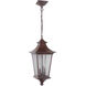 Argent II 3 Light 10 inch Aged Bronze Textured Outdoor Pendant, Large