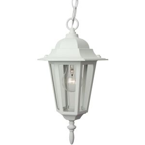 Straight Glass 1 Light 8 inch Textured White Outdoor Pendant in Textured Matte White, Small