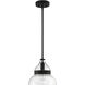 Smyth 1 Light 10.5 inch Flat Black Mini Pendant Ceiling Light