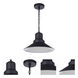 Singleton 1 Light 14 inch Midnight Outdoor Pendant