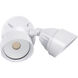 Bejamin LED White Outdoor Flood