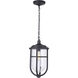 Voyage 1 Light 9.5 inch Midnight Outdoor Pendant