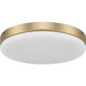 Mondo Fan Light Kit