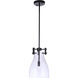 Chardonnay 1 Light 9 inch Flat Black Pendant Ceiling Light