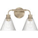 Pleated 2 Light 16.88 inch Premium Bronze Vanity Light Wall Light