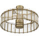 Reveal 24 inch Satin Brass with Clear Acrylic Blades Fandelier