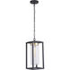 Neo 1 Light 8 inch Midnight / Satin Brass Outdoor Pendant