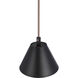 Blake 1 Light 11 inch Flat Black/Satin Brass Pendant Ceiling Light