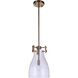 Chardonnay 1 Light 8.88 inch Satin Brass Pendant Ceiling Light
