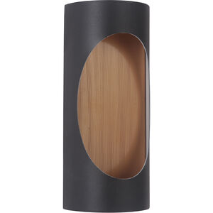 Ellipse LED 11 inch Brushed Aluminum Outdoor Wall Mount in Textured Black and Satin Brass, Small
