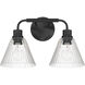 Pleated 2 Light 16.88 inch Flat Black Vanity Light Wall Light